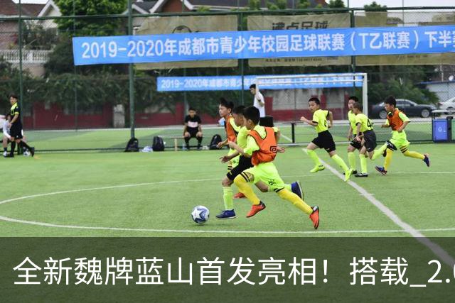 全新魏牌蓝山首发亮相！搭载 2.0T 发动机，预计将于年内完成上市
