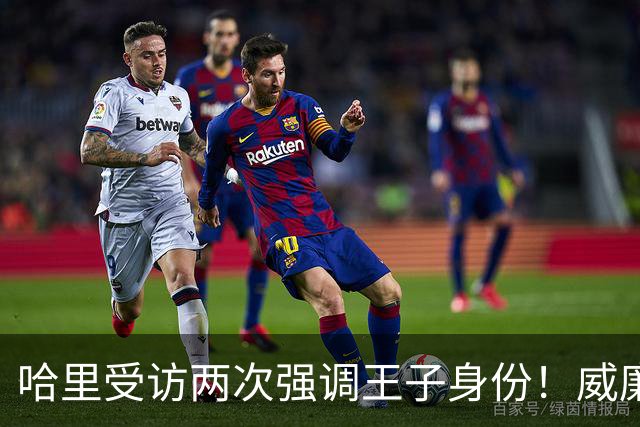 哈里受访两次强调王子身份！威廉被问称呼，却只说怎么合适怎么来