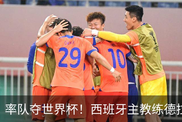 率队夺世界杯！西班牙主教练德拉富恩特获年度最佳主帅