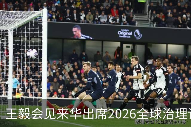 王毅会见来华出席2026全球治理论坛（雄安）的客人