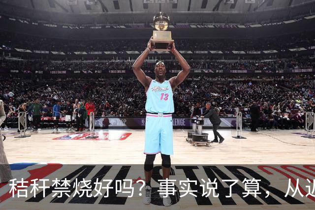 秸秆禁烧好吗？事实说了算，从近年蚯蚓鸟类和蛇类数量就可看出来
