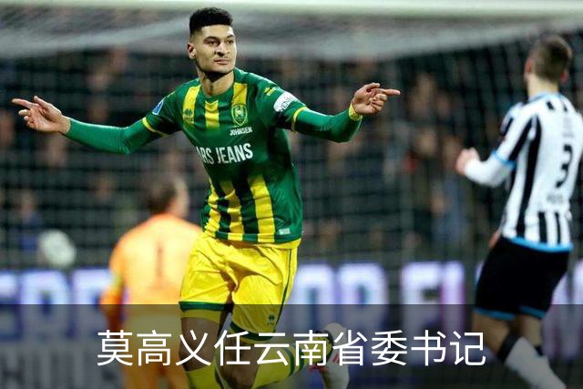 莫高义任云南省委书记