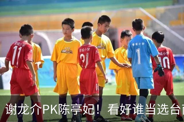 谢龙介PK陈亭妃！看好谁当选台南市长？网络投票结果超意外