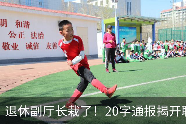 退休副厅长栽了！20字通报揭开职称黑幕，多少教师输在五分钟答辩