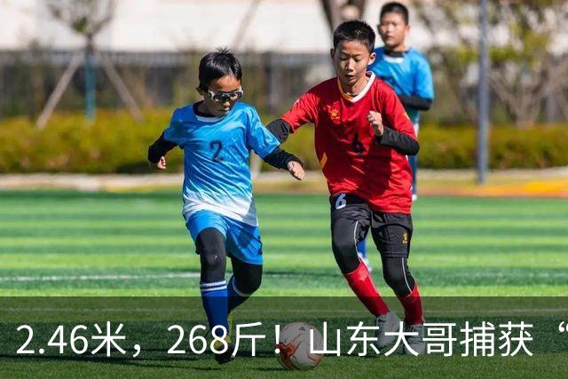 2.46米，268斤！山东大哥捕获“鲅鱼王”：常见鲅鱼仅几斤到十几斤，已被水产公司收购，将做成鲅鱼水饺
