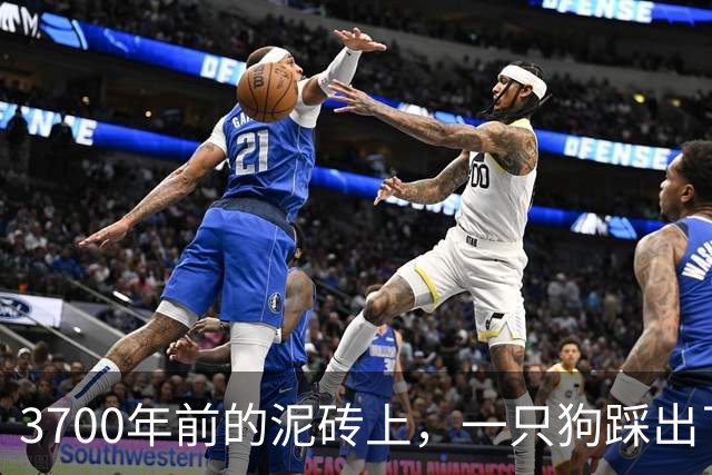 3700年前的泥砖上，一只狗踩出了它的"签名"